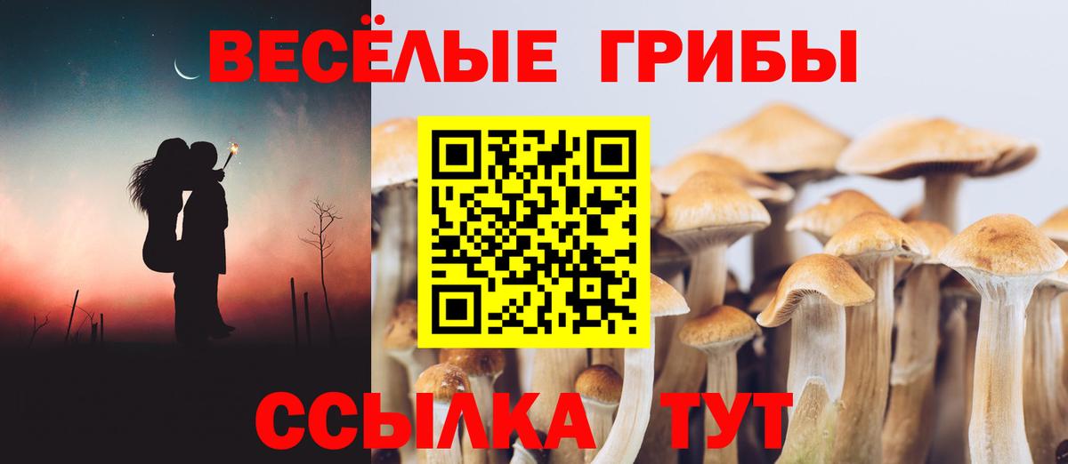 Галлюциногенные грибы мухоморы  Вход с VPN  Чапаевск 